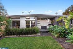  17 Oswald Crescent Para Hills SA 5096 $325,000 - $350,000 Not only are the recent renovations to this 1960's four bedroom property bursting with stylish flair and exciting design elements, but they include high quality finishes, fixtures and fittings for a complete transformation to luxurious modern living. Set on a generous 469m2 (approx.) corner block, the flexible floorplan features four lovely bedrooms, or three plus a study if you prefer. The kitchen is an absolute chef's paradise - visibly amazing but equipped with all the mod-cons too. Centrally located, this glamorous kitchen is open to the dining/family room which leads outdoors to an enclosed verandah with built-in bench seating complementing the rich hues of timber decking. A luxurious master bedroom features split system a/c and a built-in robe, with a choice of built-in robes, a built-in desk or a/c in the remaining bedrooms. Relax in the large lounge embracing a gorgeous garden outlook through floor to ceiling windows. Exquisite landscaping has created this lush and leafy front garden, a joyful space to potter about in or simply to enjoy from indoors while a cosy gas fire keeps you toasty warm. Boasting many fine features, the highlights include: Triple length carport with auto roller door and direct access indoors -Private and Secure front fence with electric opening gate -Sensational kitchen featuring stainless appliances, pantry, dishwasher, rangehood, glass and stainless steel splashbacks, breakfast bar -Modern bathroom showcasing a deep, freestanding bathtub, floor to ceiling tiles, rain shower head -Separate w/c -Polished timber floorboards -Ducted Air Conditioning -High quality window furnishings -LED downlights -Large laundry with a built-in benchtop and cupboard Located within a short walk of Para Hills School, this lovely home for families and couples is close to the Para Hills Community Club, local shops and transport. 
