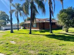  1 Keperra Place Moree NSW 2400 $279,000 • Flood free solid brick house • 3 beds, 2 bath - rooms have built ins • Kitchen and dining rooms connected with bar/ entertaining area • Carpeted lounge room with wood fire heating • Evaporative A/C and ceiling fans throughout • Large back yard with established grass and is fully fenced • Main bedroom with ensuite • Gates into the yard access • Double lock up garage • Close to shops, chemist, school and tavern • Approx rent in this market $350 - $400.. 