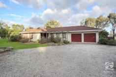  197 North Road Chiltern VIC 3683 $649,000 "Nulgerong" is a rare rural/residential property on 5 Acres, only 1km from centre of Chiltern township. This generous family home would be perfect for those also wanting space for their beloved horses or even to graze a few cattle. This brick veneer residence, built approx. 1972, offers four bedrooms – two with built in robes and the spacious master has a walk-through robe and a private ensuite. The huge central kitchen flows into both a lounge room, with a separate dining area and the family room, which has space for a study nook. The family room leads to three bedrooms and the main bathroom, making it the perfect kids' rumpus room. As well as a double lockup garage with remote control roller doors and a garden shed, this property also has a neat, 5 x 5m, open front storage shed with a concrete floor, ideal for a boat, extra cars, or a workshop. This property is on a bend in the road so it offers many potential uses for the land. It also abuts an unused roadway so there is additional land beside the block that you may be able to utilize (STCA). The grounds around the house boast mature, low maintenance, native trees and shrubs along with some productive fruit trees. A mix of standard and raised garden beds make up the fruitful vegetable garden. With approx. 5acres you can have the kids' horses, a couple of goats and room for a motorbike if that's what you're into. "Nulgerong" is serviced by mains water, a rainwater catchment tank plus two dams! The property fronts a main sealed road and is within walking distance to Chiltern's town centre, primary schools and sporting facilities. 
