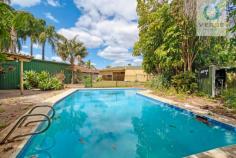  145 William St Beckenham WA 6107 $499,000 Well presented in a prime locale this well-established family home set on a 950 sqm block will offer plenty of options for the next lucky owner! This appealing street front green titled unique residence offers a superb design and functional floor plan featuring four great sized bedrooms, a well-appointed bathroom, spacious formal lounge, separate kitchen area, and generously sized garden with a pool. This lovely property is well designed with a huge shed/workshop which comes with a handy drive through access perfect for extra parking, boats, trailer and caravan. Within walking distance to Beckenham train station and close proximity to a host of desirable amenities including Westfield Carousel, big brand retail outlets, shops, cafes, schools, library, car show rooms, medical centres, and not forgetting the leisureplex, Canning River, beautiful parks, walking, biking and trekking paths and trails for all your recreational and leisure needs. This superb home is also all about- Location! Location! Location! The Lucky next owner can simply live and nest on this lovely property with its development potential being zoned R20/25. Obviously this will be subject to WAPC and the relevant approvals but one thing for sure opportunities such as this are rare and decisions are easy to be made!. Features and Highlights: *Generously sized four bedrooms *Well Equipped Kitchen *949.58 sqm Green Titled Block (R20/25) *Large shed/workshop with drive through access perfect for boats, trailers, caravan *Close to excellent schools and Beckenham Train Station *Close proximity to many local amenities including Westfield Carousel Shopping Centre and Queens Park train station 
