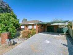  12 Sinnett Ct West Wodonga VIC 3690 $330,000 If you’re willing to roll up your sleeves, apply some muscle and call in a favour from your tradie mates, this could be your ideal project. With some thorough grit and determination and the ability to show this home the time and attention it needs, this could be an absolute gem! Needing a fairly decent overhaul, this home has had a building report that deems this home very structurally sound and with a new kitchen, floor coverings and window furnishings throughout, plus some plaster and paint work, this brick veneer property has incredible potential. - Three bedrooms all with robes and master with en-suite, - Large front lounge room with an room for dining or study, - Open plan kitchen and family room with direct access to a rear pergola, - Full functional bathroom with separate toilet and full laundry, - Double carport, single lock up garage and side carport will accommodate 4 vehicles, - Secure yard with garden shed, vegetable patches and plenty of room to improve the pergola area - Solar panel system. Close to Catholic College, Birralee Shopping precinct and Raiders Sporting ground, this property is positioned perfectly for your convenience.  