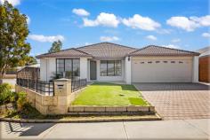  22 Melvich Grn Butler WA 6036 $499,000 Whether you’re looking for a modern family home or a quality investment, this bright & breezy Butler home will surely tick all the boxes! Having gone through a recent “make-over” including new flooring, carpets, painting, LED lighting, and landscaping… all you have to do is move in, unpack and enjoy!! Located parkside and walking distance to schools, shops, and the train station; this is about as convenient as it gets… so don’t delay CALL NOW TO VIEW!! • With lush green parks in every direction and a host of amenities such as Butler Central Shopping precinct & train station all within a short walk, the ever popular ‘Green’ Estate is a great place to live and raise a family. Resting on a secure elevated 475sqm corner block, the modern façade looks out to low maintenance gardens, with pebbled surrounds and glorious views of leafy trees opposite. • Secluded at the front of the home, the spacious master bedroom is fitted with a large walk-in robe with built in storage, down-lighting, sumptuous carpets, curtains, and a neat & tidy ensuite complete with modern fixtures and fittings. Located close by, bedroom 2 would make the ideal nursery and at the rear of the property is the family bathroom and bedrooms 3 & 4 which are neutrally finished making them perfect for the kids. • If you fancy yourself as the next up and coming “master chef” you won’t be disappointed here! The huge well-appointed kitchen overlooks the dining area and has everything you need! Features include: stainless steel appliances + rangehood, dishwasher, double fridge recess, tiled splashback, extended breakfast bar, masses of overhead storage, shoppers entry, and tranquil views of the outdoors. • When it comes to quality family time and total relaxation the generous open plan living is light & bright and offers the perfect place to chill out after a busy day. The glossy porcelain tiles and skirting edge add a touch of class and the LED lighting will brighten your day…literally! • When it comes to outdoor entertaining this home offers a huge no-nonsense garden area will pretty much looks after itself. Thanks to the pebbled surrounds you don’t have to get bogged down with hours of weeding whilst the synthetic lawns will look green all year round! Under the extended alfresco the weatherproof café blinds will keep you safe from all the elements whilst the kids have ample space for trampolines, swing sets, and maybe even a pool! Through the roller door rear access you have easy-access to the backyard and the garden shed will provides a secure place for storage and a quiet place to potter! • EXTRAS INCLUDE: Double Garage, laundry + linen, 2x reverse cycle aircon units, additional TV + coaxial points, Telstra Velocity fibre optic, LED lighting, skirting boards, ceiling fans, gas storage hot water, outdoor café blinds large garden shed and so much more! 