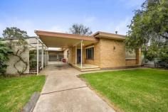  520 Hague Street  Lavington, NSW 2641 Auction Full details:  520 Hague Street House for sale details 