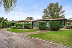  102 Watson Street  Jindera, NSW 2642 Auction Full details:  102 Watson Street House for sale details 