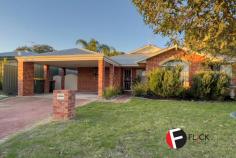  4 Tussock Elbow Banksia Grove WA 6031 $399,000 to $419,000 This great sized 4 bedroom, 2 bathroom family home is perfect for the medium to large family. the home offers a great sized kitchen, meals area overlooking the rear patio area and swimming pool. This home is a perfect summer entertainer as the rear yard, wrap around patio and large pool area are a great place for the kids and adults to be entertained. The bedrooms are all a great size and the property is situated on a large block also. 