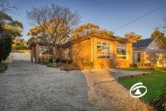  20 George Rae Ave Harkaway VIC 3806 $900,000 - $960,000 Nestled in the sought after village enclave at Harkaway, the ageless contemporary lines of this much loved family home are immediately apparent. Eminently livable as it stands today, it will also present the perfect candidate for refurbishment to today’s tastes. Sitting amidst 940 m2 gardens with ample room for outdoor interests, it includes a substantial 6 x 9 m garage/workshop with rear vehicle access to a further storage area. Leafy and private, its gardens are delightful with a majestic eucalypt providing shade and substance. Inside, the home boasts polished hardwood floors, a split level design, with both wood fire and reverse cycle air conditioning, an updated kitchen plus sunny meals area extending to a brick paved patio. Configure as either 3 or 4 bedrooms with ensuite to main. An all too rare opportunity to enjoy life within a true community with a delightful semi-rural flavour – whilst just 5-10 minutes from all needed urban facilities. 
