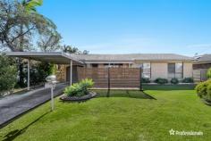  17 Clavan Street Ballina NSW 2478 $800,000-$850,000 Positioned for convenience this property is only a 300 metre hop, skip and a jump to Ballina’s shopping centre precinct so there is no need drive the car with shopping, cafes, gyms and the cinema all just a short stroll away. This neat and comfortable home offers great value for money with open plan living comprising a spacious lounge room, tiled dining and a well laid out kitchen with the appliances having been recently upgraded. An outstanding feature of this property is the large sun filled rear yard that has a perfect north aspect with plenty of room to add a pool or perhaps an extension to the current dwelling. Buy now and move in for Spring and summer and you will be able to entertain family and friends in the spacious outdoor entertaining area. – Front courtyard and rear patio – Additional carport – Air-conditioned comfort – Appealing property for all buyers from first home to retirees. 