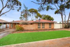 3 Trythall Pl Hannans WA 6430 $415,000 New to the market this fabulous property will catch the eye of the astute buyer wanting a home on a large block, powered shed, modern throughout – move in with nothing to do, but enjoy. • Set on 961 sqm lot • Brick & tile construction • Built in 1986 • Four bedrooms, robes provided • Two bathrooms, both modernized • Large lounge room with tile fire & gas heating option • Open plan kitchen/dining area • Island kitchen bench with gas appliances & dishwasher • Natural gas connected • Evaporative air conditioning connected • Gabled patio for entertaining • Separate deck area with heated spa – secured with glass fence • Powered shed – 9 x 6 • Good access to the shed from the side gates 