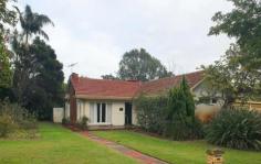  39 Ley St Como WA 6152 $1,000,000 Get ready to take advantage of this genuine possibility to be able to purchase two adjoining lots totaling 1511m2*, located in the Canning Bridge Activity Centre Plan area, in the sought-after hub of the Davilak Quarter – Zoned H4 (4 stories). As the current zoning allows for ‘various development options’, there may also be the possibility of developing multiple houses over the two lots, rather than high-rise apartments, subject to council approval. Number 39 Ley Street, is a flat corner block of land of 811m2 with dual frontage to Philp Avenue. There is also currently an opportunity to be able to purchase the neighboring property with its own 700m2 of land, which is due to go up for Auction on the 17th of September (if not sold prior). Equally, if you’re looking for a home to renovate, this one may tick your boxes as the block is big and beautiful and the house would look stunning after a remodel! The location is amazing, being Just a short walk to the Swan River waterfront and the Canning Bridge Train Station. You are also just a few minutes by car or public transport, to Waterford Plaza, Curtin University, and the ever-popular City of Perth. And if you are into the local café scene and you’re looking for a quick takeaway or a leisurely meal, the Ley street café strip is less than 300m away too! Key Features • 811m green title block • Situated in Davilak Quarter (H4) of Canning River Activity Centre Plan • Excellent location with easy access to public transport, major roads • 1950s Brick and tile home 