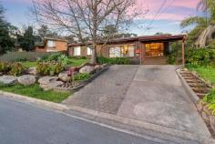  16 Roundaway Cres O'Halloran Hill SA 5158 $585,000 Beautifully positioned on the high side of the road behind the everchanging foliage of a gorgeous oak tree, this upgraded ’70’s home will be the perfect family fit. A formal entry steps down to a generous front living space lined with floating floors, huge picture windows and high raked ceilings with exposed beams that soak in abundant natural light. Formal dining is positioned adjacent the updated kitchen, where shaker-style cabinetry, a dishwasher, gas cooktop with rangehood, double sink and maximum storage space offer plenty to like for home cooks. From here, sliding doors reveal a superb tiered backyard complete with huge alfresco protected by a pitched roof pergola with ceiling fan, overlooking a beautiful lawn area for little legs, as well as ideal zones for a cubby house, trampoline or play equipment and an impressive orchard of bountiful citrus and pome and stone fruit trees sure to fill your fruit bowls in summer. Three carpeted bedrooms are located in their own wing, each with ceiling fans, built-in robes and easy access to the central bathroom with bath and separate w/c, the master also enjoying the added comfort of a split system air conditioner. A bonus huge rumpus room alongside the living is limited by your imagination; perhaps a spacious home office, games room, retreat or optional extra bedroom. More to adore: – Solar panels – Ducted gas heating + 2 split system reverse cycle air conditioners – 708sqms (approx.) allotment – Single carport – Huge rear shed/garage with roller door + storage & garden sheds – Separate laundry with outside access Just 10 minutes from Flinders University & Medical Centre and Westfield Marion, less than 20kms to the CBD and with easy access to the coast including the popular Hallett Cove Conservation Park and Boardwalk. Right at the end of the street you’ll find the expansive Serpentine Road Reserve, housing the Hallett Cove Tennis Club, skate ramp and Southern Cricket Club, with the Happy Valley Reservoir Reserve access point also accessible by foot, while the local shops and eateries on Main South Road are a couple of minutes’ drive. Plenty to love about this one, come and see for yourself. 