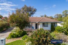  6 Russell Rd Greenmount WA 6056 $439,000 With a potential to sub divide, this Greenmount property is more than just a home. Raise a family, keep some chickens, walk the kids to school and celebrate milestones in the big backyard; this 3-bedroom home is the perfect stage for family life. The 1964-built brick and tile home has high ceilings, decorative cornicing, and timber floors throughout. Set in a friendly neighbourhood, minutes from Greenmount Primary and St Anthony’s, the home sits well back from the road behind a sweep of reticulated lawn and gardens and boasts a family-sized backyard. 3 bedrooms 1 bath 2 WC 1964-built brick and tile Open plan kitchen/meals Lounge with bay window Polished timber floors Outdoor entertaining Fully fenced backyard Single garage door 1019 sqm subdivide STA Walk schools parks bus As you step inside from the small front porch, this Greenmount home’s high ceilings and polished timber floors ensure an immediate sense of welcome. A large bay window in the lounge washes the room with natural light heightening the sense of space and highlighting the family-friendly interior layout. An open-plan kitchen/meals with an electric oven and gas hob opens to a partially enclosed verandah and sheltered patio to offer a practical indoor-outdoor layout. The outdoor living zone overlooks the generous backyard and has ample space for seating, barbecuing and dining. It provides an ideal backdrop to impromptu alfresco dinners, memorable family get-togethers and relaxed weekends reading and dozing cocooned in the green oasis of the private backyard. A central hall leads from the shared living zones to a walk-through laundry, the family bathroom and three bedrooms. Polished timber floors and high ceilings in each bedroom create a delightful sense of calm. The family bathroom has a shower, tub, vanity and WC. A second WC adjoins the laundry. The fully fenced backyard of this 1019 sqm block offers an idyllic space for kids and pets to run and play; there is even room to keep chickens, build a cubby, and plant a vegetable garden. A single garage with a paved driveway for access sits to one side of the lot. Two sheds offer storage space for garden tools and equipment. A rich and rewarding future watching your family grow, marking milestones and making memories is easy to imagine in this home and this friendly neighbourhood. 