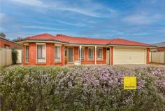  31 Olympic Way Mildura VIC 3500 $399,000 - $438,000 Sales Agent & Marketing Specialist Peter Zara from Ray White Mildura is proud to present for sale this well-maintained home situated on a large 756sqm block, at the end of a quiet cul-de-sac. All those on the hunt for a spacious, comfortable and easy-care home in Mildura are sure to be impressed by 31 Olympic Way. The kitchen features ample preparation and storage space, a new oven, a dishwasher and a pantry, and from here, you can overlook the spacious living and dining room. A separate lounge room will be a perfect spot to enjoy a movie with loved ones, the master bedroom boasts a walk-in robe and ensuite, and the two other bedrooms are a great size. Also on offer is a double carport with access to a large powered shed. Ducted gas heating and evaporative cooling ensure you'll be comfortable year-round, and a sprinkler system promises to keep your gardens looking lush. 