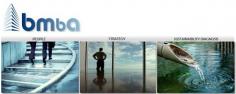 Business Effectiveness Diagnosis | Bmba