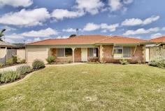  56 St Andrews Loop Cooloongup WA 6168 $369,000 This well-located home has been enjoyed by the current family for the past 27 years. You'll love the beautiful street appeal, multiple living areas, new kitchen, and much-loved backyard, complete with a spacious outdoor living area, large shed, and fenced-off veggie patch (Peter Rabbit's Garden). Ideally located in the popular Woodbridge Golf Course Estate, you are only a hop skip and a jump to the golf course, Don Cuthbertson Reserve, general hospital, train station, shopping complex, and only a short drive to Murdoch University's Rockingham Campus, TAFE, Kwinana Freeway, and Rockingham's stunning foreshore and our many family-friendly beaches. Ideally suited to the young family, retiree, savvy first home buyer, astute investor, or lock-and-leave FIFO/Navy personnel. - Reverse cycle air-conditioning to living and master bedroom - Two separate internal living areas plus spacious outdoor living - New kitchen built in 2021, with double fridge recess, soft close drawers and doors, and extra storage - King-sized master bedroom, with walk-in robe, air-conditioning, ceiling fan, and semi-ensuite  - Good-sized minor bedrooms, one with a built-in robe - Semi-ensuite bathroom with separate shower and bath - Large patio with additional shade-cloth-covered gabled pergola - Automatic bore reticulation to lawns, gardens, and veggie patch - Energy efficient instant gas hot water system, ideal for lock and leave - Secure carport with auto sectional door and room to park a trailer at the rear 