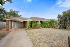  10 Cotter Pl Hannans WA 6430 $450,000 This spacious starter has everything you could want and more. Partially updated bathroom & with recently replaced carpets, this home is move in ready. Close to Hannan’s Primary School, Shops and Public Transport. – 4 Bedrooms with a walk-in robe in the master – 2 Bathrooms – 2 Living areas – Tile fire – Shed with access – Close to Hannan’s Primary School – Close to popular Hannan’s Boulevard Shopping Centre 