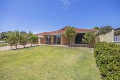  77 Christian Cir Quinns Rocks WA 6030 This well maintained property is vacant and with no onward chain is ready to become yours. Situated in a popular pocket of Quinns Rocks with easy access to parks, schools, transport links, shops and the beach, this home offers coastal living and affordability. Consisting of a family lounge, 4 bedrooms, 2 bathrooms, a large open plan kitchen/dining which leads out to an extensive patio, this vacant property ticks lots of boxes. The front lawn borders a widened driveway which is just perfect to park the caravan or boat and even has it’s own small storage shed. You enter the property through the security front door into a hallway with a large lounge to the left of the home. It has plenty of power sockets, double ceiling lighting, large windows, gas bayonet, t.v. point and wooden doors to allow it to be fully enclosed if a theater room is your preference. The master bedroom features views across the front lawn towards the park, ceiling fan, good size walk in robe and it’s own ensuite. Nicely separated from the remaining family bedrooms, the design of this house allows privacy when required. The three family bedrooms are on their own wing of the property. All have built in robes, good size windows for plenty of light and are serviced by the family bathroom with separate toilet and laundry. The open plan kitchen and dining area, with it’s feature flooring, is the true center of this home. The kitchen has been renovated and consists of a free standing oven/burners, extractor fan, fridge recess, microwave recess, dishwasher, feature tiling and plenty of workbench and store cupboards to keep the family chef happy. Above the sink is a feature wooden concertina folding window, allowing perfect serving access to the outside seating/bar area. Two further sets of wooden double doors allow easy access to the rear private garden, with it’s patio offering the facility to really ‘open up’ this space for year round entertaining. Serviced by a large split system air conditioner and very private, this kitchen/dining/entertaining area is where you will spend the majority of your time with family and friends. The good size rear garden has plenty of lawn, side gate access, established planting, that patio leading to a raised deck area and creates a private secluded space for you and your family to enjoy. 