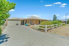  16 Egan Cres Vasse WA 6280 Your options are endless on this massive corner block located in the wonderful Vasse Newtown community. This WA Country Builders farmhouse style home takes in the tranquil views of the acreage opposite, with a wraparound veranda to sit in and enjoy the outdoors. The main living area incorporates high ceilings and an open plan design allowing in plenty of natural light. The kitchen overlooks the dining and living spaces, featuring a gas stove, plenty of cupboard space and a breakfast bar.  The queen-sized minor bedrooms include built-in robes and block-out blinds, while the master suite has a beautiful outlook to the front yard and serene landscape. It also includes a large ensuite and walk-in robes. This home's outdoor areas are very spacious, featuring a generous front and back lawn area and inclusive of an alfresco with high ceilings and powered shed/workshop with double roller door. There is also side access available to this shed/workshop.  The parks, primary and secondary schools and Vasse Village nearby makes this an ideal family home, central to the neighbouring towns of Busselton, Dunsborough and Margaret River and the famed wine region and incredible coastline to explore.  - 	 Solar panels - 	 Master suite with ensuite and walk-in robe - 	 Vinyl flooring in main living areas - 	 Open plan kitchen, living & dining with high ceilings - 	 Breakfast bar - 	 Gas stove - 	 Pantry - 	 Queen sized minor rooms - 	 Laundry room - 	 Separate WC - 	 Bathroom with shower and bathtub - 	 Alfresco with high ceilings - 	 Double garage - 	 Powered shed/workshop - 	 Side access - 	 Fruit trees  - 	 Front and back lawn 