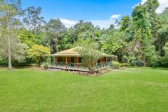  104 Diddillibah Rd Woombye QLD 4559 $820,000 Located approx.120 metres back from Diddillibah rd Woombye, down a tree lined driveway is this charming 8,310 square metre rural block with a timber Queenslander style residence – ready and waiting for its next loving owner. It's quiet, it's private, level land - with a combination of open lawn and garden areas with a backdrop of protected forest vegetation. The Western Red Cedar home has polished timber flooring, a wrap around verandah on 3.5 sides of the home. The house itself is 2 bedrooms, 1 bathroom with an additional enclosed verandah area in the back left corner stretching approx 10m x 2.5 m - useful as a kids play area / home office / multi function use. Many other features to enjoy here, including: A 12m x 6m shed which has 2 vehicle parking bays on the right side and the left side a multipurpose room with connecting small bathroom and toilet facility. An additional garden shed plus chook house Inside the home are ceiling fans and air conditioning A fully refurbished kitchen with near new dishwasher A 2kw solar electricity system Town water connection and septic waste water system.  A very quiet, private and ambient location The home was constructed in the 1980's when Builders took their time to make it 100% right. There is great scope here to easily make your own further improvements and you will love living here as much as the current owner has. Just a 3 minute drive into Woombye township's shops, services, Rail and local schools 