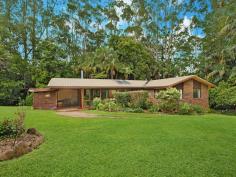  269 WITTA ROAD WITTA QLD 4552 Combining 11 acres of 'Land for Wildlife', walking tracks, creek, remnant rainforest, open grazing land and a rambling brick home, this property meets the brief for privacy, tranquillity and nature while also bringing out the future buyer's creative spark. The land area on offer has a mix of native vegetation, fruit trees, avocados, macadamias and veggie beds on all near level with only gentle slopes down to the creek. Enjoy the sounds from an array of birdlife and expect regular visits from wallabies. Well established walking tracks will take you on a circuit of the property and provide easy access for nature watching and maintenance. If some cattle or a horse or two are on the wish list, then this is amply taken care of with the separate fenced paddock to the rear of the property. Easy road access is a plus with Berganns Lane running down one full boundary. • Four generously proportioned bedrooms all on one level • Main bathroom with separate WC • Separate office with potential to be converted into en suite • Large deck looking onto palms and stunning forest trees • Open plan lounge / dining and kitchen with cathedral ceilings • Well-appointed large kitchen • Wood burning stove plus reverse cycle A/C • Laundry/utility with second WC on lower level with internal access and separate entry • Oversized carport or covered alfresco next to the home • 12m x 6m shed with power • Creek and separate paddock One of the outstanding aspects of this property is the gentle nature of the land. The parcel around the residence is near level, while the separate paddock and creek are all easily accessed and very user friendly. The property has an abundance of water with 30,000 litres collected from the home and a bore. This property offers a peaceful and private retreat with room to grow and put your own stamp on the place over time. Whether you're looking for a wildlife refuge, self-sustaining lifestyle with a couple of animals or a combination of both, this property must be at the top of your list. 
