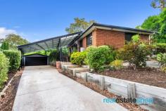  47 Bettington Cct Charnwood ACT 2615 $790,000 This beautiful three bedroom home has been stylishly renovated with contemporary finishes, ready to move straight in and enjoy. The quality renovation features polished hardwood timber flooring, double glazed tinted windows, art deco cornices, stunning external timber doors and an impressive kitchen. Any cook enthusiasts or entertainers will love this space which also flows out onto a private covered deck which can be used all year round. In addition to this, the property has a 5 star energy rating, ducted gas heating and evaporative cooling to keep you comfortable through all seasons. The property is located in a quiet cul de sac with only one adjoining neighbour on a leafy landscaped block of 803 square metres. These gardens wrap around the entire house providing extra privacy and a lush outlook from inside the property. There is lots of parking including a four car garage and four car carport. This location is conveniently positioned within walking distance to the Charnwood Shops, Charnwood Primary School, Fraser Primary School and Fraser Shops. Features: -Renovated three bedroom home -Covered deck and carport with Suntuf SunSmart roof which is hail proof and blocks heat during warmer months -Stylish renovated kitchen featuring lots of storage, island bench, breakfast bar and Ariston freestanding 5 burner cooktop and oven -Polished hardwood timber flooring -Art deco cornices -EER of 5- improved insulation and double glazed tinted windows -Three good size bedrooms, two with built in robes -Renovated bathroom and laundry -Leafy, landscaped gardens -Instant gas hot water system -Evaporative cooling -Ducted gas heating -Colorbond fences, fascias and gutters -Four car garage and four car carport with extra height for larger vehicles -Convenient location, walking distance to schools, shops, playgrounds and public transport 