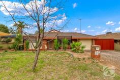  11A Adams Rd Craigmore SA 5114 This spacious and well-designed family home built in 1995 is located at 11A Adams Road, situated on 600sqm allotment approximately in the sought-after suburb of Craigmore. This property does require a little TLC, however, with that said it still boasts a range of impressive features that are sure to impress even the most discerning of buyers. At the heart of the home is the stunning master bedroom, which is complete with an ensuite and a generous walk-in robe. The master bedroom also features a ceiling fan, ensuring that you stay cool and comfortable throughout the year. In addition to the master bedroom, the home features three additional bedrooms, two of which come with built-in robes. There is also a cloak room, providing ample storage space for all your belongings. The home is tiled throughout, making it easy to maintain and clean. The formal lounge is the perfect place to entertain guests, while the open kitchen features a chefs oven and pantry, making it easy to prepare meals for family and friends. The family room and dining area are spacious and open, providing plenty of space for everyone to relax and unwind. The master bathroom features a separate toilet and vanity, while the laundry has ample space for all your washing needs. Other features of the home include split system air-conditioning and evaporative cooling, ensuring that you stay comfortable no matter what the weather is like outside. The large backyard provides plenty of space for children to play and for outdoor entertaining, while the paved area is perfect for outdoor dining. Overall, this stunning family home at 11A Adams Road, Craigmore is sure to impress. With its spacious and well-designed living spaces, ample storage, and range of impressive features, it is the perfect place for any family to call home. 