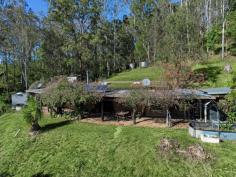  178 BROKEN BRIDGE ROAD CONONDALE QLD 4552 $850,000 Sustainability takes centre stage at this 19.75 acre property in Conondale with all the materials for this mud brick home sourced from the property itself. It offers buyers a fantastic opportunity to escape the city hustle and bustle and build a sustainable lifestyle; a grow tunnel, solar power, an orchard and a sod roof provides perfect growing conditions and benefits the home underneath. Nestled in its hillside, this North facing home is packed with unique features but is designed for practical, off grid living. Timber features throughout the home providing a feeling of warmth and there is great connection and flow from the interior of the home to outside; the rural views over the property and beyond are very special. • 19.75 acres designed for sustainable living • Mud brick home with material sourced from the property • 2 bedrooms and a bathroom off the main • Timber kitchen with island bench, gas cooking and walk-in pantry • Wood burning fireplace • Covered patio area running the length of the front of the house • Solar power with gas hot water back up • 12,000 lt tank gravity feeds the home • Garden shed and covered carport• 30 minutes to vibrant Maleny, 6 minutes to Crystal Waters Eco Village and its markets and social dinner nights and 34 minutes to the ever-growing community of Kenilworth. • School bus service is close by and runs to Maleny and its primary and secondary schools and also has a River School connection. Nature is on your doorstep at this country escape- abundant birdlife, wallabies and deer provide the perfect backdrop. 