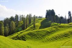  valley trip planner is a leading travel agency in kashmir we are local tour operators from srinagar kashmir we provide all types of tour packages for kashmir  like srinagar tour packages from Ahmedabad  and srinagar tour packages from pune and much more so visit us now and book your tour with us 