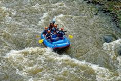  Kayaking in Kerala is an exhilarating adventure, and Seasonz India Holidays, with its Kerala tour packages from Mumbai , invites you to explore the waterways of this enchanting destination in a unique way. Paddle through the serene backwaters, lush rivers, and tranquil lakes, all while surrounded by lush greenery and diverse wildlife. Whether you're a beginner or an experienced kayaker, Kerala offers a variety of kayaking experiences to suit your preferences. Join us for an unforgettable journey as you navigate the pristine waters of Kerala, immersing yourself in the natural beauty and tranquility of this coastal paradise. 