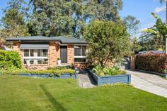  4 Paperbark Cl Wyoming NSW 2250 Occupying a top spot within a tranquil, leafy cul-de-sac, this picture-perfect family home ticks all the boxes! Capturing a sunlit Northerly aspect and set against a lush green backdrop of established trees, an immaculate brick and colorbond exterior opens into fresh, recently upgraded interiors before spilling out to a full-length timber deck and superb al fresco entertaining zone adjoining a fully fenced backyard – the ultimate flow for a fabulous spring and summer ahead. Perfectly equipped to cater to all the demands of modern living, a single-level floorplan encompasses multiple living zones centring around a sleek gourmet kitchen, along with three light-filled bedrooms, a stylish family bathroom, and an abundance of storage space. A fantastic home and a great address with local schools, shops, parks, and playgrounds all just minutes away – make your move fast on this one! Features: – Scenic and serene position within a tranquil, tree-lined cul-de-sac. – Single-level brick and tile family home showcasing a suite of significant recent upgrades – from a brand new roof, gutters, and fascia and sparkling new LED downlights throughout key living areas and easy-care ‘Rosegum’ vinyl flooring. – Spacious gourmet kitchen set to be the chef’s delight, offering an abundance of bench space, natural gas cooking facilities, crisp white cabinetry, and quality appliances including a 5-burner gas stove, electric oven, and LG dishwasher. Ideally positioned at the heart of the home, with a convenient view across both the front and back yards. – Multiple living areas include an inviting formal lounge and a separate, open-plan main social zone encompassing the kitchen, dining, and second living areas before spilling out to a full-length covered back deck, paved patio, and fully fenced backyard. A fantastic family-friendly flow with room to move and space for everyone to relax, play, or entertain. – Three generously proportioned bedrooms all with built-in robes. – Sleek and stylish family bathroom with built-in tub, quality fixtures, and a conveniently separate WC – perfect for busy family living. – Large combined laundry and workshop area with bonus additional WC. – Single lock-up garage and additional off-street parking for a further 3 vehicles. Extras include: air conditioning (second living), linen press, bonus underhouse storage area, garden shed, rainwater tank with pump for auto-watering gardens (backyard) and provisions for kitchenette (gas and water) to paved entertaining area. Offering a full suite of suburban amenities, Wyoming has everything you could need, from reliable public transport and a quality selection of schools to a buzzing local shopping village, with the added bonus of easy access to every lifestyle attraction on the coast. A short drive will take you to Gosford CBD, the waterfront and iconic new play park, or the shopping mecca of Erina Fair, while Terrigal and Wamberal beaches are just 20 minutes away. For those heading further afield, the M1 motorway is also close by, offering seamless connection through to Sydney, Newcastle, and beyond. 