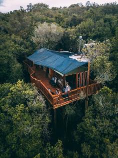  Treehouse tourism in Kerala offers a unique and immersive experience, and Seasonz India Holidays, with its Kerala tour packages from Hyderabad , ensures you can embrace this extraordinary adventure. Nestled amid the lush Western Ghats, these treehouses provide a perfect blend of comfort and nature. Wake up to the melodious songs of birds, enjoy panoramic views of the forest, and relish the tranquility that surrounds you. It's an ideal getaway for nature lovers, adventure seekers, and those looking to escape the ordinary. With Seasonz India Holidays, you can embark on a memorable journey into the treetops of Kerala, creating cherished memories of a lifetime. 