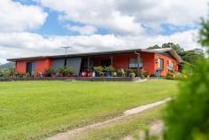  177 Valmadre Rd Moresby QLD 4871 $830,000 Fantastic lifestyle property, 17 kilometres from Innisfail, on 16.5 acres with a 4-bedroom house. One must inspect this property, With fenced cow paddocks, fruit trees, cocoa trees, Christmas trees, landscaped gardens, a fish pond, a large glasshouse, a lockable 2-phase powered shed at the back of the house, and a farm shed, this immaculately maintained home is situated on 16.5 acres. As you entertain on the spacious front patio and savour the view, you will feel as though you are on top of the world. The only restriction is your imagination. This property is perfect for growing small crops. Adding to the already planted cocoa trees and Christmas trees, you could diversify and grow other crops like bananas, passion fruit, or pawpaws. It will seem like you are living in paradise when you are on this magnificent property. Create a lifestyle for the whole family. Country living at its best. Located on an elevated block, the location is breathtaking. Owning a private creek that runs through your land is a rare find. It is the perfect place to sit around your fire pit and take in the view of the fresh waters, or get together in the hotter months with family and friends and go swimming in complete seclusion while knowing that no one else is around. If you have a boat or a jet ski, Mourilyan Harbour and boat ramp are just a 10-minute drive away, and from there you can access the Islands and excellent fishing locations. Our local coastline provides access to a variety of breathtaking beaches; just a few that are well worth the trip are Etty Bay Beach, which is patrolled and netted in the summer, Cowley Beach, Kurrimine Beach, and Mission Beach, to name a few. Water is not an issue thanks to a 2.5 hectare water licence, a diesel pump, and a boar. In addition to the land, the sale includes a Ford 5000 2wd tractor, a 6 ft slasher, rotary hoe, a 500-litre Mister, a 600-litre spray tank, and a Vycon Fertilizer spreader. The vendors have planted 120 Christmas trees, for future sale upon maturity, Cocoa trees as well as seedlings ready for transplanting. A truly spectacular property with peace and quiet guaranteed. FEATURES: * 4 BEDROOMS - MASTER WITH ENSUITE AND WALK-IN ROBE * MODERN KITCHEN * AIRCONDITIONED THROUGHOUT * 6 CAR ACCOMMODATION * GREEN HOUSE * FULLY LOCKABLE POWERED 9 X 7.5 M SHED AT REAR OF HOUSE - (2-PHASE POWER) * FARM SHED WITH LOADING RAMP FOR A FRUIT TRUCK * BEAUTIFULLY LANDSCAPED GARDENS AND YARD WITH FRUIT TREES * 120 CHRISTMAS TREES * COCOA TREES AND SEEDLINGS * LARGE FISH POND * LARGE ENTERTAINMENT AREA * ELEVATED VIEWS * PRIVATE CREEK RUNNING THROUGH THE PROPERTY * PRIVACY PLUS The home is currently owner occupied. This truly magnificent home will offer you and your family a simply beautiful place to live. 