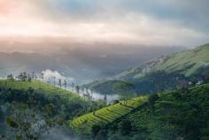  Seasonz India Holidays presents captivating Kerala tour packages from Chennai, inviting travelers to embark on an extraordinary journey through the enchanting realms of this southern paradise. With a distinguished reputation for delivering exceptional travel experiences, Seasonz India Holidays has meticulously designed these packages to cater to the unique preferences of each traveler, ensuring an unforgettable and hassle-free exploration of the magnificent state of Kerala. Kerala, often hailed as "God's Own Country," is renowned for its diverse landscapes, rich cultural heritage, and warm hospitality. Seasonz India Holidays' Kerala tour packages from Chennai serve as the gateway to this mesmerizing destination, offering travelers an opportunity to delve into its myriad wonders. The voyage commences from Chennai, a bustling metropolis brimming with history and modernity. The packages provide convenient transportation to Kerala, ensuring a seamless transition from the urban hustle and bustle to the tranquil and picturesque beauty of Kerala's landscapes. Travelers can choose from a range of packages, each thoughtfully curated to cater to various seasons and interests, such as honeymoon getaways, family vacations, or solo adventures. One of the highlights of these packages is the mesmerizing houseboat experience in Alleppey (Alappuzha), where travelers can meander through the serene backwaters. These idyllic waterways, fringed with swaying palms and quaint villages, offer a unique and immersive encounter with Kerala's natural beauty. The packages include a captivating houseboat stay, allowing guests to savor authentic Kerala cuisine while drifting along the tranquil backwaters. For those with an inclination towards nature, Kerala's hill stations, such as Munnar and Wayanad, offer a rejuvenating escape into the Western Ghats. Munnar's emerald tea gardens and Wayanad's lush landscapes are a paradise for nature enthusiasts. These packages encompass visits to these serene hill stations, enabling travelers to relish the crisp mountain air and revel in the lap of unspoiled nature. Cultural experiences are an integral part of Seasonz India Holidays' Kerala tour packages. Travelers can witness traditional Kathakali performances, explore ancient temples, and immerse themselves in local festivals that showcase Kerala's vibrant arts and traditions. Additionally, Kerala's delectable cuisine, infused with aromatic spices and fresh seafood, is a gastronomic delight that awaits every traveler. Seasonz India Holidays' Kerala tour packages from Chennai are meticulously crafted to offer travelers not only a glimpse of Kerala's natural beauty but also an immersive experience of its rich culture, traditions, and warm-hearted people. The itineraries are thoughtfully designed to cater to the interests and needs of each traveler, ensuring that every journey is a personalized and unforgettable adventure. In conclusion, Seasonz India Holidays' Kerala tour packages from Chennai present an incredible opportunity to explore the diverse landscapes and rich heritage of Kerala. With a harmonious blend of adventure, relaxation, and cultural immersion, these packages are the perfect choice for those seeking an enriching and hassle-free getaway to "God's Own Country." 
