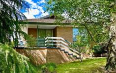 5 Thomas Street Myrtleford VIC 3737 $820,000 Prepare to be amazed by this exceptional property located on Thomas Street. Opportunities like this don't come around often, as the current Vendors have lovingly owned and cared for this home for an impressive 50 years. Now, it's your chance to own a piece of history and make it your own. This property boasts a spacious and thoughtfully designed brick veneer dwelling. This home standing strong for half a century is a testament to enduring quality and timeless appeal. Offering ample space with 4 bedrooms and 2 bathrooms this home is perfect for a family. Stepping inside to the entrance hall, prepare to be captivated by a charming lounge area with natural light filling the space and views through ceiling to floor windows. Extending from the lounge is a separate dining area and adjoining open plan kitchen and family room. The kitchen houses modern amenities including an induction cooktop and double wall oven making it a chef's delight. The spacious master bedroom is a parent's retreat featuring an ensuite and built-in robes. All other bedrooms are equipped with built in robes providing ample storage space for your family's needs. Enjoy year-round comfort with a reverse cycle air conditioning and an evaporative air conditioning. For added comfort and convenience there are electric sun blinds. The main bathroom features a double vanity, a shower/bath combination, and a separate WC. Nestled into the stunning landscaped split-level garden of established trees, shrubs, plants and leveled lawn area, there is a large covered private dining space perfect for outdoor dining and barbequing. Also, on this level there is a carport to house 2 cars. Underneath the house there is ample standing space for use as a workshop and storage area. This home is an easy walking distance to schools, sporting stadium and the golf course making it an ideal choice for families & retirees. 