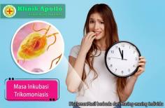  Klinik Apollo , Jakarta – Ketahui  masa inkubasi trikomoniasis  saat melakukan pemeriksaan dengan dokter ahli. Karena trikomoniasis adalah infeksi menular seksual (IMS) yang penyebabnya oleh parasit protozoa bernama Trichomonas vaginalis. Salah satu aspek penting yang perlu Anda pahami terkait trikomoniasis adalah masa inkubasinya. Masa inkubasi merujuk pada periode waktu antara terpapar patogen atau parasit (Trichomonas vaginalis) hingga munculnya gejala pertama. Informasi Relevan Perihal Masa Inkubasi Pentingnya mengetahui masa inkubasi suatu penyakit. Tujuannya agar penanganan dapat dengan mudah dokter ahli terapkan. Oleh karena itu selalu lakukan konsultasi dengan dokter ahli di klinik dan dapatkan informasi secara jelas. Berikut adalah informasi mengenai masa inkubasi trikomoniasis: 1.Masa inkubasi yang bervariasi Perihal masa inkubasi trikomoniasis dapat bervariasi dari satu orang ke orang lainnya. Pada umumnya, masa inkubasi ini berkisar antara 5 hingga 28 hari setelah terpapar. 2.Asimtomatik pada sebagian besar kasus Salah satu ciri khas trikomoniasis adalah sebagian besar orang yang terinfeksi tidak menunjukkan gejala. Meskipun demikian, mereka tetap dapat menjadi pembawa dan menularkan infeksi kepada pasangan seksualnya. 3.Gejala yang muncul Pada beberapa kasus, gejala trikomoniasis dapat muncul selama masa inkubasi atau setelahnya. Gejala yang mungkin muncul meliputi: Keputihan berbusa berwarna hijau atau kekuningan. Bau yang tidak sedap pada vagina wanita. Rasa gatal atau terbakar pada area genital. Nyeri saat kencing atau berhubungan seksual. 4.Penularan tanpa gejala Sebagian besar penularan trikomoniasis terjadi melalui hubungan seksual tanpa kondom (pengaman atau pelindung) dengan seseorang yang terinfeksi. Meskipun tanpa gejala, seseorang masih dapat menularkan parasit kepada pasangan seksualnya. 5.Pentingnya tes dan pemeriksaan medis Mengingat sebagian besar kasus trikomoniasis tanpa gejala, tes dan pemeriksaan medis menjadi kunci dalam diagnosis. Tes dapat dokter ahli lakukan melalui pemeriksaan mikroskopis sampel cairan dari alat kelamin atau melalui tes laboratorium yang lebih canggih. 6.Perawatan dan pencegahan Jika terdiagnosis positif, perawatan dengan obat-obatan antiparasit direkomendasikan. Pencegahan trikomoniasis melibatkan praktik seksual yang aman, seperti penggunaan kondom (pengaman atau pelindung) saat berhubungan seksual dan setia pada pasangan seksual yang terbebas dari infeksi. 7.Pentingnya pemeriksaan pasangan seksual Setelah diagnosis, penting untuk memberi tahu pasangan seksual tentang kemungkinan infeksi. Pasangan seksual yang terinfeksi harus mencari pengobatan untuk mencegah penyebaran infeksi dan mencegah rekurensi. 8.Risiko komplikasi jika Anda biarkan tanpa pengobatan Jika trikomoniasis tidak terobati, dapat meningkatkan risiko infeksi menular seksual (IMS) lainnya, meningkatkan risiko komplikasi kehamilan, dan berkontribusi pada peningkatan risiko penularan HIV. 9.Tes teratur bagi seseorang berisiko Seseorang yang berisiko tinggi, termasuk mereka yang memiliki banyak pasangan seksual, sebaiknya melakukan tes teratur untuk trikomoniasis dan infeksi menular seksual (IMS) lainnya. Mengingat masa inkubasi yang bervariasi dan seringnya asimptomatik, kesadaran akan pentingnya pemeriksaan rutin dan praktik seksual yang aman menjadi kunci dalam pengelolaan trikomoniasis. Jika ada kecurigaan terhadap infeksi atau gejala yang muncul, segera berkonsultasi di nomor  081212306882   dengan profesional medis untuk diagnosis dan perawatan yang tepat. Sumber: https://blog.klinikapollojakarta.com/periode-penting-dan-masa-inkubasi-trikomoniasis-perlu-diketahui/ 