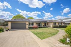  11 Chestnut Avenue Armidale NSW 2350 $800,000 - $880,000 Welcome to 11 Chestnut Avenue, a magnificent family residence nestled on the sought-after North Hill of Armidale. Boasting an expansive 1,081 square meters of land, this generously proportioned five-bedroom home offers an ideal blend of space, comfort, and modern living. As you step inside, you’ll discover a spacious interior featuring five well-appointed bedrooms and three bathrooms, ensuring ample accommodation for the entire family. The residence offers versatility with two distinct living areas, including a cozy carpeted media room for relaxed entertainment. The heart of the home lies in the open-plan kitchen, showcasing a stylish breakfast bar, island bench, and abundant cupboard space – perfect for culinary enthusiasts. Adorned with crisp white cabinetry, the kitchen seamlessly flows into an adjoining formal dining room with sliding doors that open to an outdoor veranda, creating a seamless indoor-outdoor living experience. Outdoor enthusiasts will be delighted by the extensive alfresco area, providing the ideal setting for summer dining and entertaining. The undercover veranda overlooks meticulously landscaped gardens and lawns, creating a private oasis for relaxation and enjoyment. Additional features elevate the property’s appeal, including a solar system for energy efficiency, a convenient double lock-up garage with internal access, and the comfort of plantation shutters and ceiling fans throughout. The bathrooms are enhanced with heated towel rails, adding a touch of luxury to everyday living. Situated in close proximity to local corner stores and both private and public schools, 11 Chestnut Avenue offers a lifestyle of convenience and comfort. Don’t miss the opportunity to make this exceptional property your family’s new home – where space, style, and thoughtful design converge to create a truly captivating living experience. 