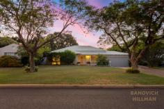  67 Ardross St Applecross WA 6153 Positioned on one of the most picturesque streets in Applecross, known for its wide verges lined with Jacaranda trees, this desirable location is home to a single level residence on a highly sought after and rarely available 710sqm Green Title block with wide 20m frontage. This convenient location is within two blocks of the Ardross Street café strip and Applecross Primary School and within one block of Gairloch Reserve. Ideally located, just down the street to the riverfront foreshore, Applecross Jetty, Tennis Club and public transport.  Featuring a functional layout and solid structure, this family home has been upgraded and presents as a very comfortable home that could be renovated down the track if desired. The kitchen forms the heart of the home and includes double ovens, gas cooktop with a stainless steel splashback, generous bench space and ample cabinetry. The kitchen conveniently overlooks the open plan dining and living room and has a direct view to the outdoor gardens and entertainment area. Opposite the kitchen are built in wine racks, perfect for any wine connoisseur to show off their best bottles. A sunken lounge area features high ceilings and large windows. The rear of the property features a second living area complete with a built in gas fireplace, ceiling fan and large windows overlooking the pool and back garden. There is generous accommodation plus a study. The master bedroom suite basks in natural light through a large floor to ceiling window, complete with privacy blinds and curtains. There is a spacious walk in wardrobe and the ensuite is complete with a heated towel rail double sink vanity, dual shower heads and separate w/c. Flowing from the main open plan living area with desirable northern orientation is a spacious paved undercover alfresco area surrounded by established easy care gardens which overlooks a salt water, solar heated swimming pool. The landscaped gardens are fully reticulated and there is also a substantial shed. Additional features of this amazing opportunity include beautiful high ceilings throughout, ducted evaporative air-conditioning, split system air-conditioning in the living room, solar hot water system with electric booster for both the house and pool, plus monitored security system. In addition to the lockup double garage there is also plenty of additional parking on site due to the long driveway and wide verge. This comfortable family home with excellent floor plan holds endless potential, together with a rare 710sqm block with wide 20m frontage, this home is sure to be popular for those that appreciate this premium position.  