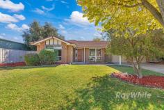  2 Stirling Court Moama NSW 2731 $610,000 Welcome to No 2 Stirling Court Moama offering a delightful family home on a large allotment of 751sqm. Located in a quiet court not far from Moama's shopping centre, bus stop to the local schools (Moama Grammer, Moama Primary School), parks and a walking track around the estate. This lovely home has four bedrooms or three plus a study. The master bedroom features built in robes and an ensuite, There is a central bathroom and seperate laundry. The open plan kitchen and dining area is perfect for entertaining guests. This also leads out to an undercover alfresco patio excellent for BBQS, the fire pit area and spacious rear garden, featuring a beautiful large tree. In fact the gardens at the front and rear are well established and low maintenace. This property also boasts a double garage space with roller door access to the rear, plus a double carport, for your convenience. With new reverse cycle split system, there is evaporative cooling, gas heating, fresh carpet, recent painting and updated window furnishings, this house is move-in ready. Potential rental or lease would be between $500.00 to $520.00 per week. 