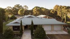  17 Valley Rd Pink Lake WA 6450 $1,350,000 Discover your dream home with this stunning 1.85-hectare property, featuring luxurious amenities and spacious living areas. Property Highlights: • Bedrooms: 4 generous bedrooms, each with walk-in and/or built-in robes and ceiling fans • Construction: Double brick for durability and insulation • Bathrooms: 2 bathrooms • Kitchen: Huge galley style kitchen with granite benchtops, dishwasher, electric cooking appliances and a walk-in pantry • Living Areas: Expansive open-plan living area with a big tile fire and reverse cycle air conditioning, While a cosy formal lounge room is located at the entry to the home. • Outdoor Entertainment: Fully enclosed outdoor patio perfect for entertaining • Pool Room: Designated space featuring a below-ground, salt and chlorinated heated pool • Spa Facilities: Dedicated sauna/spa room for ultimate relaxation • Garage: Double garage under the main roof Additional Features: • Landscaping: Immaculate grounds with manicured, reticulated lawns • Workshop: 12m x 7m, 3-bay powered shed/workshop • Water Storage: 110 litres of rainwater storage plus a 4500-litre tank connected to a bore • Energy Efficiency: 6kW solar panel storage system This property offers the perfect blend of luxury, comfort and practicality. Don’t miss the opportunity to make this magnificent estate your home. Contact us today to arrange a viewing! 