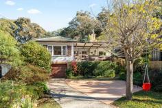  46 Railway Avenue Austinmer NSW 2515 It's all about the potential!!! This original 3 bedroom cottage is positioned on a generous 974m block in a fantastic location, only a short walk from the heart of Austinmer. It's the perfect opportunity to renovate the existing house or start from scratch to create your dream coastal home. YOUR HOME • Despite needing some love and attention, the current house is teeming with vintage character. If you appreciate the charm of yesteryear combined with the conveniences of modern living, this could be the perfect renovator for you. • The large backyard is the perfect space for entertaining friends and family. Enjoy an alfresco meal on the patio while the kids play in the yard, before retiring to the newly built deck at the rear of the property to enjoy a glass of wine while taking in the beautiful views. • Featuring a single lock-up garage with remote door. • A gas fireplace keeps you warm through the winter months and provides a great ambience. • On the lower level of the home, there is plenty of storage along with an additional rumpus room. • Blocks of residential land this size are becoming harder and harder to find. Zoned R2 low density residential with a 15m+ frontage. • Boasts glimpses of the ocean and surrounding bushland, which would be greatly improved by adding a 2nd story (STCA). • Property is situated directly opposite bushland and surrounded by a bush setting, providing you with peace, privacy and tranquility. YOUR LOCATION • This is a highly sought after location, at the end of a quiet cul-de-sac, surrounded by native flora, and only a short walk to the popular beaches, parks, shops, cafes and school. • Embrace that relaxed coastal lifestyle with swimming, fishing, surfing, hiking and sunrise/sunset walks on the beach all available only moments from your doorstep. • The local beach is patrolled and also boasts an ocean pool + great surf break. • Both the train station and bus stop are situated within easy walking distance. • There is also a little-known park just at the end of the street, only seconds from your front door. Perfect for those who like to spend time outdoors without being surrounded by people. • This is one of the most desirable suburbs on this pristine coastline. It is the perfect coastal retreat approximately 1 hour South of Sydney CBD and approximately 30 minutes North of Wollongong CBD. • Austinmer offers a community-based coastal lifestyle with an easy access to Sydney and Wollongong and all that the Northern Illawarra has to offer. 