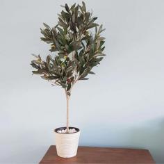 Designer Vertical Gardens presents premium artificial trees, perfect for homes and businesses across Australia. Our collection provides a maintenance-free solution to bring greenery indoors year-round. These lifelike trees offer a natural aesthetic without the upkeep. Whether you're enhancing an office, a living room, or an event space, our artificial trees are designed to impress. Explore our diverse range and buy artificial trees online from our website for a seamless shopping experience.