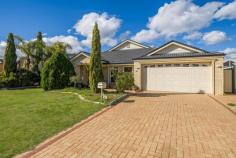  40 Buttercup Crescent High Wycombe WA 6057 $700,000 Welcome to 40 Buttercup Crescent, High Wycombe! Situated on a spacious 618 sqm block, this property boasts a generous 236 sqm of living space which includes 4 bedrooms, 2 bathrooms, open plan kitchen dining and family room with separate lounge, study or 5th bedroom as well as an activity and games room. If you were looking for a property that requires a bit of TLC but has the right bones for a great family home, then this property is for you! Built in 2004, this home features a modern design with plenty of space for everyone. To the front of the home, a separate formal lounge with French doors, study or 5th bedroom as well a master bedroom designed with 'space' in mind, walk in wardrobe and an open plan ensuite with spa bath, separate toilet which creates a powder room from the main hallway. Minor bedrooms are down one wing of the home, generous in size, all with built in robes as well as an activity room, internal laundry and shared bathroom. Into the main living area, an open plan kitchen, dining and family room provides functionality with a shopper's entry. A large games room with French doors creates privacy or the third living space. To the rear of the home, a patio area with below ground pool is perfect for entertaining during the warmer months. With low maintenance in mind, pavers and minimal gardens to the back, lawn and low care gardens to the front with a double garage and driveway. Don't miss out on this fantastic opportunity to secure your home in this highly sought after area of High Wycombe.  Features: 4 Bedrooms 2 Bathrooms + Powder room Separate Formal Lounge Open Plan Kitchen, Dining & Family Room Games room & Activity Zone Double Garage Patio Below Ground Pool Built in 2004 on a 618sqm Block 