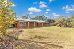  202 Fraser Road Torrumbarry VIC 3562 $999,000 The Mighty Murray River is literally only a short stroll down to the riverbank. With nature on your doorstep you will truly appreciate what the bush and River life has to offer. A safe haven away from city pressures and a place for adventures and or a quiet lifestyle. This property offers a very comfortable established home on approximately 4020sqm (1 Acre) with three bedrooms all with built in robes, the main bedroom includes a large ensuite. The living area is also super spacious with vaulted ceilings inclusive of a dining area and an open plan kitchen with a dishwasher. A Eureka wood fire heater in the main living area keeps the home cosy through out winter. There is also a split system and 3 ceiling fans. In addition there is a study and a second spacious living area with sliding doors from both living zones to the outdoors or entertain in the undercover enclosed north facing outdoor area. The property has an excellent 12 x 7.4m shed (39 x 26Ft) with a concrete floor, ceiling fans and power. The carport is big enough to house several cars and or trailer or boat. Conveniently Located about 20 minutes from Echuca just off the Murray Valley Highway. The land at the end of Fraser road is a public conservation reserve where you can enjoy lovely bush walks. This really is a delightful escape from city life. FURTHER FEATURES: River pump and meter box 400M to the house near the river 2 ML Water Entitlement Murray Goulburn Water Zoned Rural Activity Bio cycle septic tank system with auto water pump, alarm and sound (Cleaned out in recent months) 8 Channel techview Security system 4 cameras Sprinklers thoroughout the garden - appx 80 sprinkler heads with filters - orbit control in shed 2 X 20,000 Litre underground water tanks with service caps to measure capacity Electric hot water service - 2 element Foxtel dish and outlets to lounge and family room Internet connected Land at the end is a public conservation reserve The Murray River is a short stroll away The property is fully fenced Ring main around the property 
