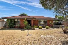  8 Plantation Street Mildura VIC 3500 Welcome to this fully renovated brick veneer home set on an impressive 845 sqm block. With its modern features this property offers the perfect blend of comfort, functionality, and style. Freshly painted interior and new flooring throughout. The property features a new kitchen equipped with an electric cooktop, space for dishwasher, pantry, and ample storage with open family and meals area, plus a spacious L-shaped lounge and dining room. The home offers three bedrooms, two with built-in robes and one with a walk-in robe. The bathrooms have been fully renovated, with modern fixtures and finishes adding a touch of luxury. Additional features include a laundry with storage cupboards, evaporative cooling, a slow combustion and electric heater for year-round comfort. Roller blinds provide privacy and a sleek, contemporary finish. Double carport with access through to rear yard and garden space ideal for families or avid gardeners. Don't miss this opportunity to secure a newly renovated property with all the modern conveniences.  
