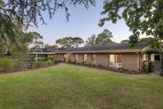  11 Wandana Court Frankston South VIC 3199 $1,525,000 - $1,675,000 Serene and relaxed with a premier address at the bowl of a quiet court, this immaculate five-bedroom 3-living zone home presents a superb lifestyle for growing families in search of both sophistication and convenience. A neighbouring path leads directly to Derinya Primary School, while a short drive connects with Frankston High School Foreshore and Bayside Shopping Centre. A single-level layout embraced by a traditional return driveway introduces the home's generous 2,783sqm (approx.) landscape, where its established gardens are reflected inside through large windows and vaulted ceilings. Spanning three distinct living areas, a dining zone and centralised kitchen featuring 900mm appliances, dishwasher, breakfast bar and sensational storage, the single-level layout encourages large-scale entertaining with ease. Practicality continues across the accommodation, with choice in two master bedrooms each with modern ensuites and built-in robes, while two additional bedrooms, a main stylish bathroom with tub and separate toilet. Gas ducted heating and split-system air conditioning ensure total internal comfort, while lush gardens with a dedicated playground and veggie garden, and a sun-drenched patio provide a tranquil outdoor zone for those balmy afternoons. Set within the Derinya Primary School and Frankston High School Zone, with close proximity to Woodleigh School (Minimbah Campus), Overport Park, Mount Eliza Village, bus stops, and leash-free dog parks. 