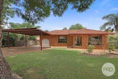  29 Eucalypt Avenue Tamworth NSW 2340 This delightful 3-bedroom, 2-bathroom home is perfectly situated on a generous 600sqm block, offering a blend of comfort, style, and convenience for modern family living. From the moment you step inside, you will feel right at home with a spacious living and dining area, galley kitchen with ample storage and a great main bathroom. Offering three well sized bedrooms, each complete with built in wardrobes and the master encompassing a ceiling fan, ensuite and walk in wardrobe. Complemented by evaporative cooling, a split system air conditioner, 3.3kw solar and a large undercover entertaining area, perfect for all your entertaining needs. Downstairs includes a large functional laundry and teenage retreat or optional 4th bedroom with a split system and toilet attached. Other features include a single lock up garage, double carport and a fully secured backyard. Conveniently located just minutes from the CBD, close to schools, businesses, and health services. Don't miss this opportunity. 