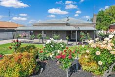 21 Jacana Avenue Moama NSW 2731 $600,000 to $629,000 Located in the heart of Moama is this delightful three bedroom home that culminates in a peaceful, sun-drenched garden with roses reminiscent of a relaxed country setting. With a cosy sense of space, serenity, the free-flowing and airy layout introduces open plan living/dining, which includes a great wood heater. The kitchen is a standout with its modern very stylish brand new fit out with quality appliances, including a dishwasher, rangehood and a built- in pantry. The main living area is light and bright and features an open fireplace, and stylish flooring throughout. The home also has a split system. All three bedrooms all have built in robes and there is a separate laundry and central bathroom with a bath and shower. The property also features excellent side access for those that have a caravan, trailer, boat or extra cars. The bluestone extends to a single lock up garage with a small shed at the rear. Enjoy your delightful rear garden under the veranda. This is an excellent solid bluestone home with an appealing street frontage with excellent side access in a great location. Once you see it you will want to own it. Recent Updates • Brand new very stylish kitchen with excellent appliances and pantry • New Flooring • Painted ceilings - doors, wardrobes and door frames • New gutters around the home • New Posts under the veranda • New hot water service • New Cistern in Toilet • New Blinds • Replaced glass in shower 