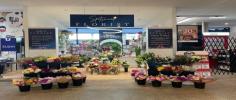 Florist Spotswood, Same Day Flower Delivery, Fresh Flowers Online


 
 
 

 






 
 
 




 
 
 window.performance && window.performance.mark && window.performance.mark('shopify.content_for_header.start');




{"shopId":57049612359,"countryCode":"AU","currencyCode":"AUD","merchantCapabilities":["supports3DS"],"merchantId":"gid:\/\/shopify\/Shop\/57049612359","merchantName":"Spotswood Florist ","requiredBillingContactFields":["postalAddress","email","phone"],"requiredShippingContactFields":["postalAddress","email","phone"],"shippingType":"shipping","supportedNetworks":["visa","masterCard","amex","jcb"],"total":{"type":"pending","label":"Spotswood