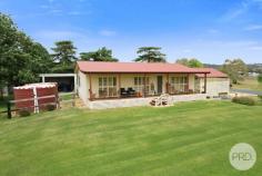  35 Pollock Street Quirindi NSW 2343 $739,000 Located on the outskirts yet conveniently close to town, this unique property offers an exceptional opportunity for those seeking a harmonious blend of town and rural living. With ample acreage, it provides the perfect space for equestrian enthusiasts to keep a horse or two while enjoying the delights of country life. This setting allows residents to relish in serene, open landscapes without foregoing the conveniences and amenities of town life. Whether you're an avid rider or simply admire the pastoral beauty, this property promises a lifestyle that celebrates both community connectivity and the tranquility of nature. The property boasts a charming 3 bedroom, 1 bathroom home with a double carport, all impeccably maintained. Inside, a split system air conditioning ensures comfort throughout the seasons, complemented by ample natural light and stylish plantation shutters adorning the front of the house. A large 4-bay open machinery shed with power provides excellent storage or workspace options. There is also a workshop or storage shed large enough to have as a home office or for the hobby enthusiasts. For equestrian lovers, there are two stables with day yards, access to bore and town water, and abundant rainwater storage. The expansive horse paddock offers plenty of space for riding and training. Additionally, the property presents the opportunity to either construct a second dwelling or split the titles into two distinct parcels, offering flexibility for future development or investment. This remarkable 2.72-acre (approx) property nestled within town lines offers an unparalleled opportunity for those seeking to downsize from a larger estate or for new adventurers eager to embrace the lifestyle acreage has to offer. Revel in the finest views while enjoying a harmonious blend of town conveniences and rural charm. With an abundance of features - from equestrian facilities to ample storage options - this home truly allows you to enjoy the best of both worlds. 