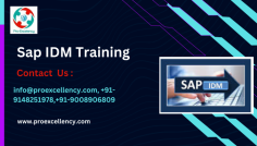  SAP Identity Management (SAP IDM) Online Training Top of Banglore   is a  robust  solution  that   automates   the   process of managing  user identities, access rights, and security policies  within  an organization's IT  environment .  https://www.proexcellency.com/products/sap-idm-training 