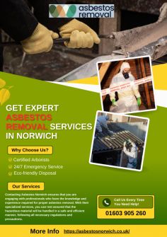 For top-quality asbestos removal Norwich https://asbestosnorwich.co.uk/ , trust Asbestos Norwich! We offer professional, fully licensed asbestos removal services for homes and businesses across Norwich. With our experienced team, we guarantee a safe, thorough, and efficient process. Don’t compromise on safety—get expert help today. Visit now to book your asbestos survey and removal! 